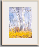 Elizabeth O'Reilly   "Tall Trees and Forsythia"   2005   16" x 12"